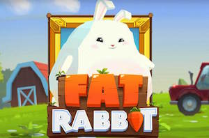 Fat Rabbit